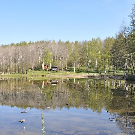 Furusjoens Cottage Ånimskog 외부 사진